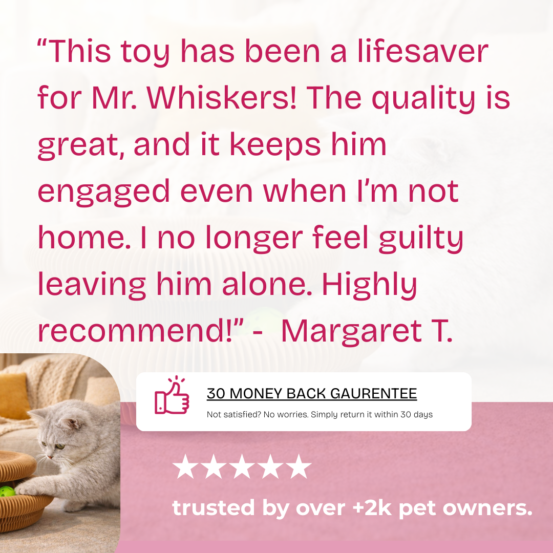 They play. You stop worrying. The Forever Hunt™ Cat Scratcher