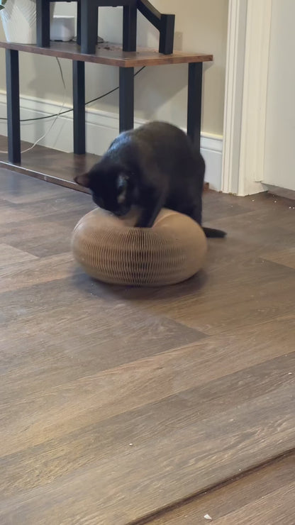 The Forever Hunt™ Cat Magic Accordion Scratcher