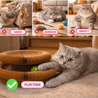 The Forever Hunt™ Cat Magic Accordion Scratcher - Coreify