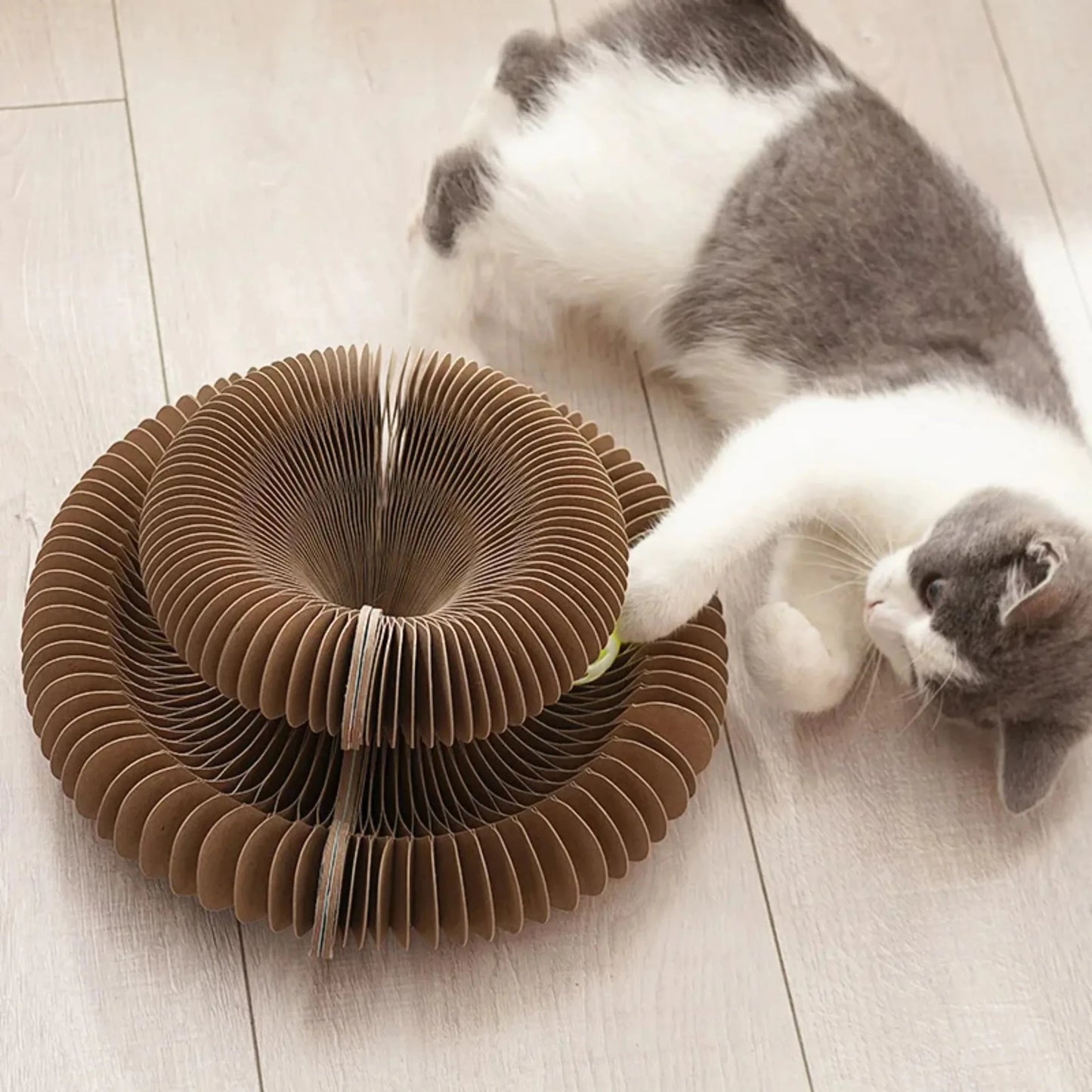 The Forever Hunt™ Cat Magic Accordion Scratcher - Coreify