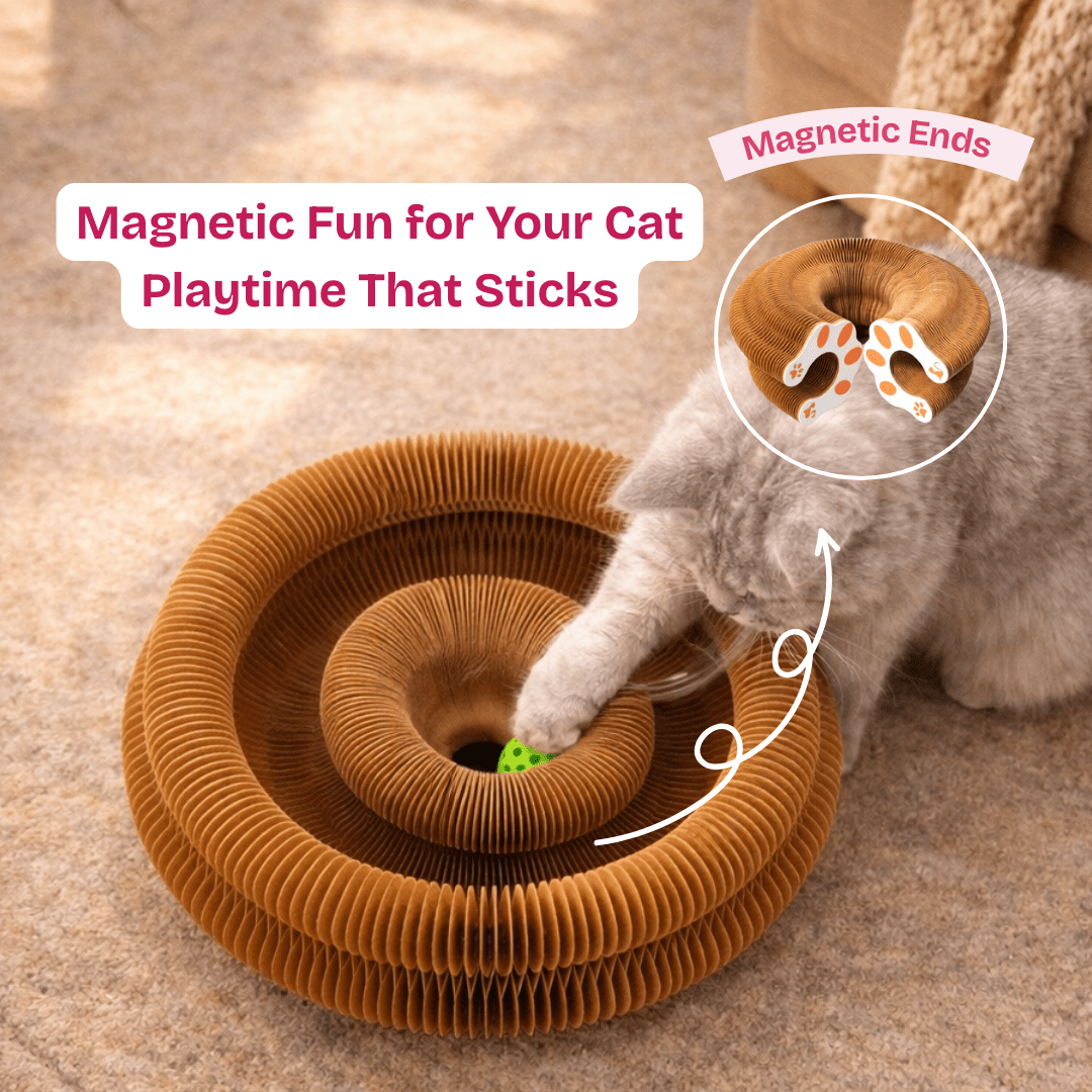 The Forever Hunt™ Cat Magic Accordion Scratcher - Coreify