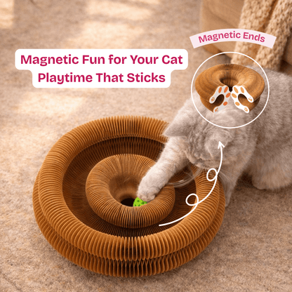 The Forever Hunt™ Cat Magic Accordion Scratcher - Coreify
