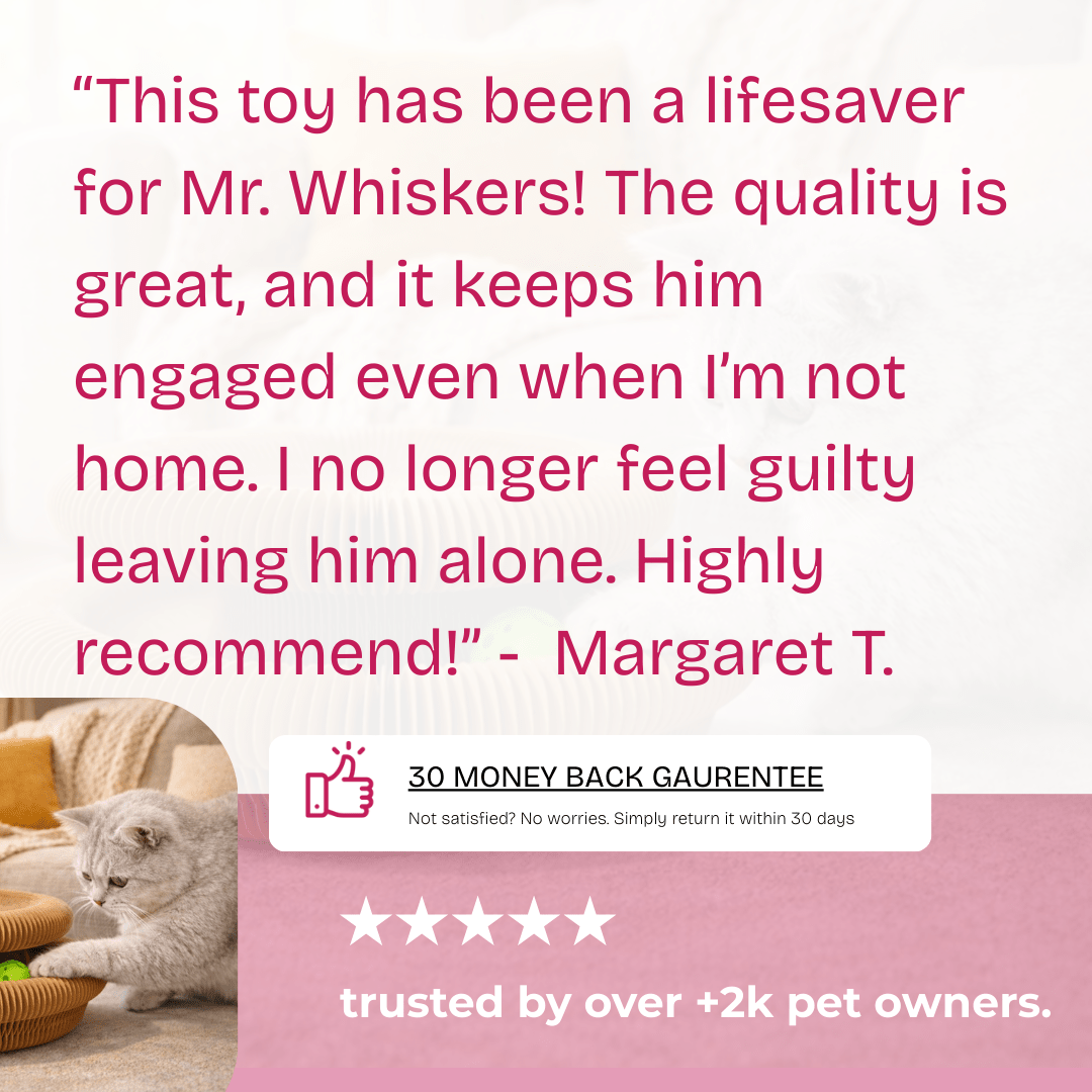 The Forever Hunt™ Cat Magic Accordion Scratcher - Coreify