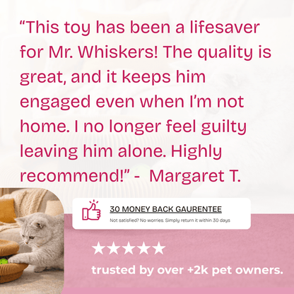 The Forever Hunt™ Cat Magic Accordion Scratcher - Coreify